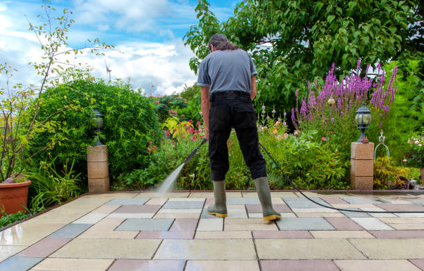 Best Animal Enclosure Cleaning  in Decatur, AL